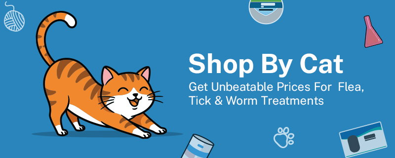 BudgetVetCare banner for cat and dog health care products