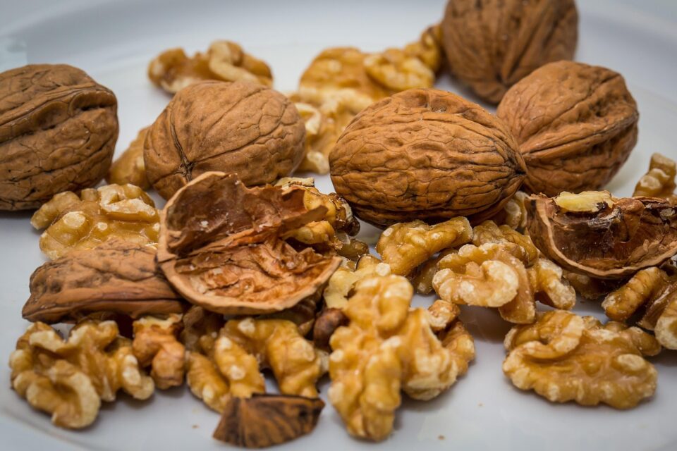 In an era where online shopping is king, finding a trusted source for fresh, high-quality snacks can be surprisingly challenging. For those in search of premium nuts, dried fruits, and gourmet treats delivered straight to their doorsteps, Anuts.com has carved out a niche as a dependable and customer-focused provider.