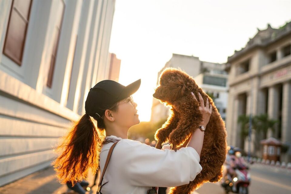 For pet owners, ensuring the health and happiness of their furry companions is always a top priority. However, finding high-quality pet supplies at affordable prices can sometimes be a challenge. That’s where BudgetVetCare comes in—a trusted online retailer dedicated to providing pet parents with affordable, premium pet care products delivered straight to their doorstep.